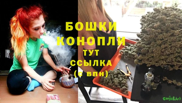 гашик Кинешма