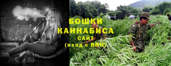 гашик Кинешма