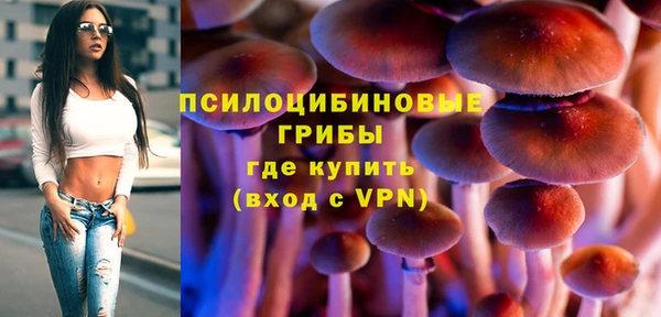 хмурый Киреевск