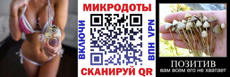 Галлюциногенные грибы Psilocybine cubensis  Купить закладки  Менделеевск 