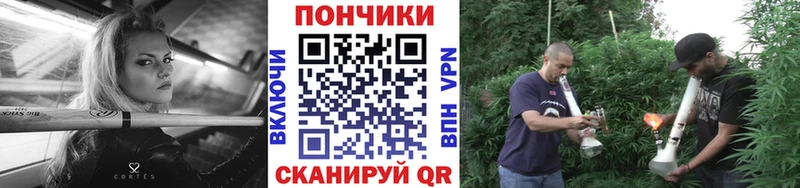 Каннабис план  Купить где  Менделеевск 